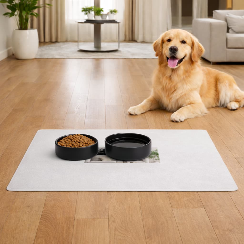 test Pet Feeding Mat