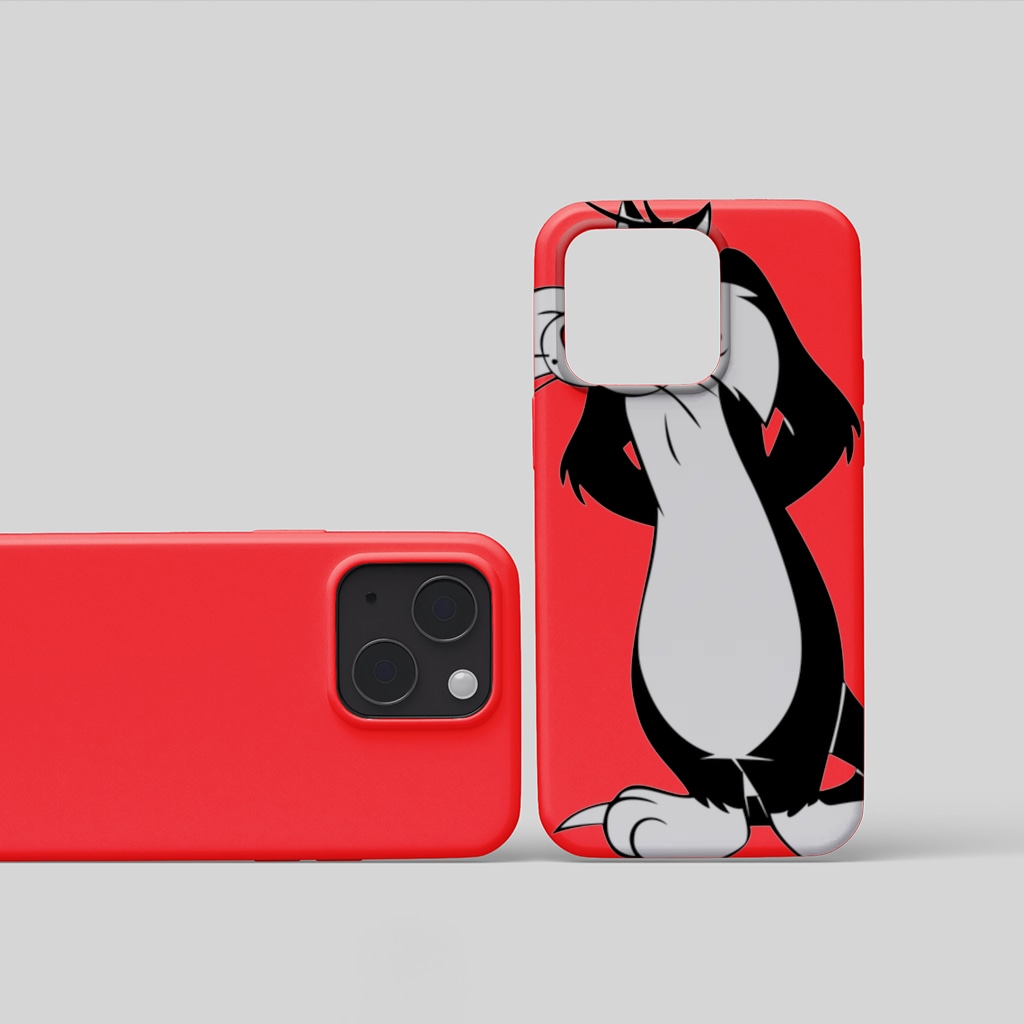 saddsa sfsdf dsf dsf iphone 15 and plus Görünüm 1